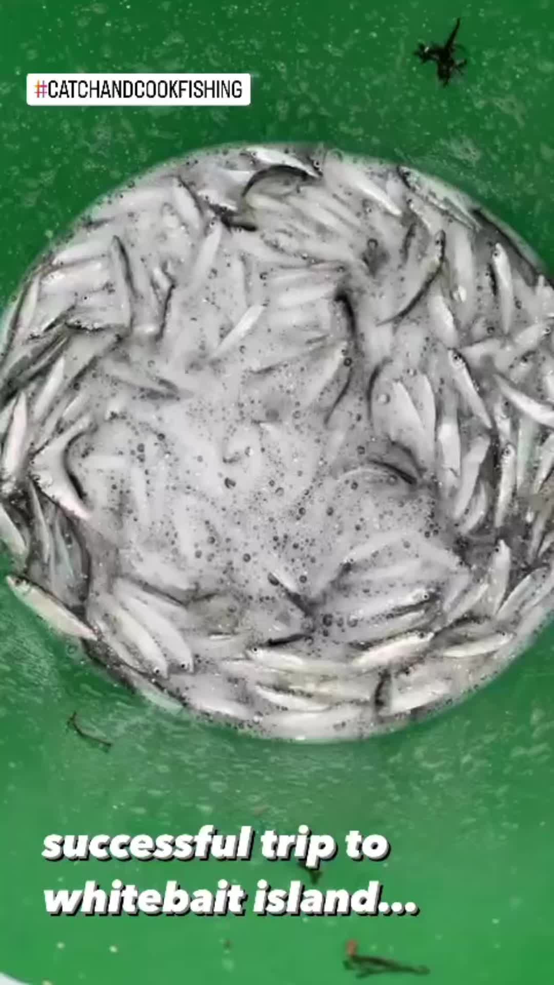 @Nutrimumof4