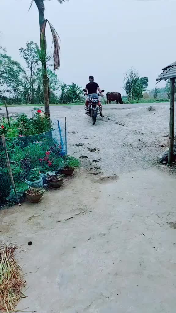 @👑the_꧁༺स𝓡𝓸𝓼𝓮༻꧂