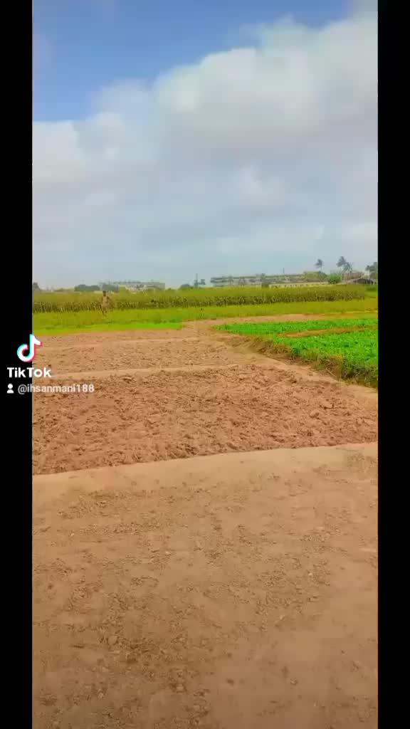 @ihsanmani88