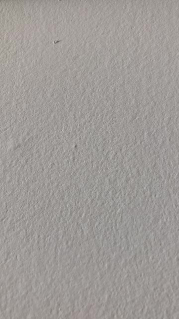 @PaintsLegacy