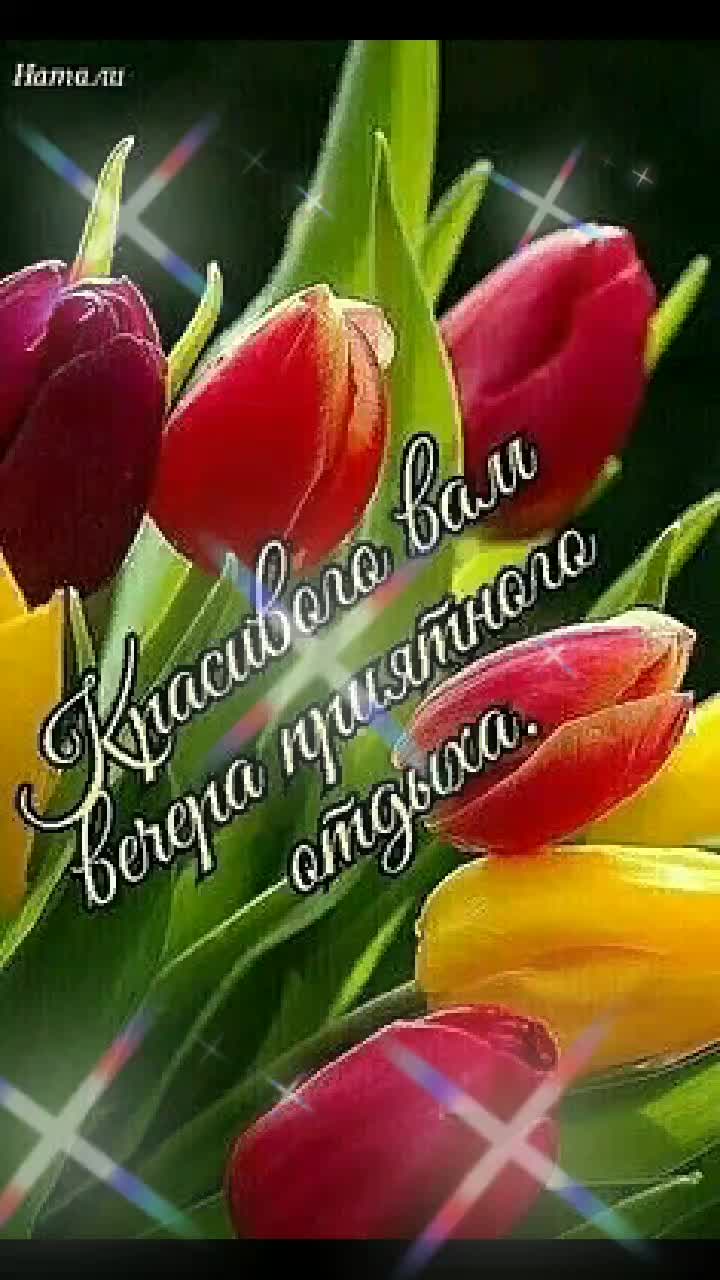 @💫✨️natalia_3✨️💫