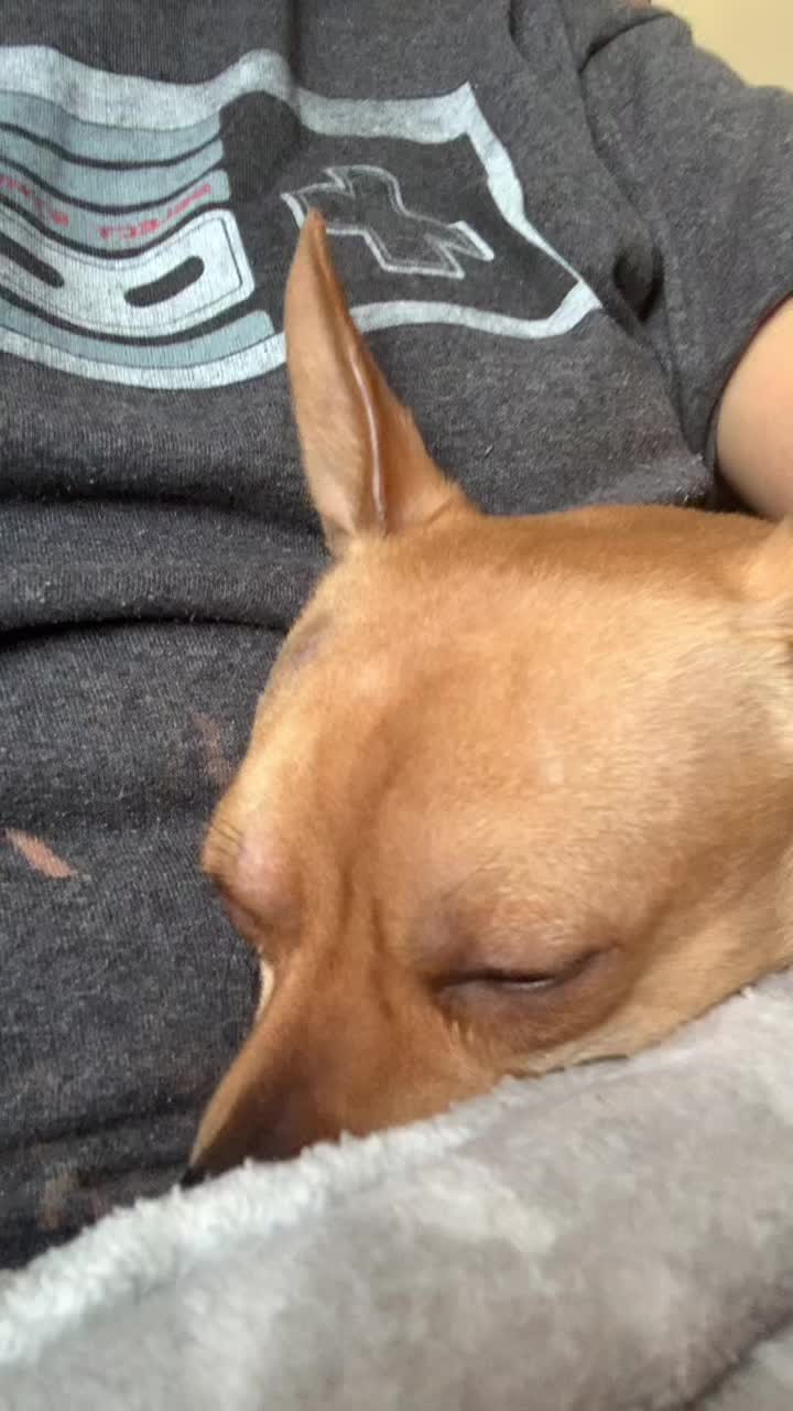 @✨