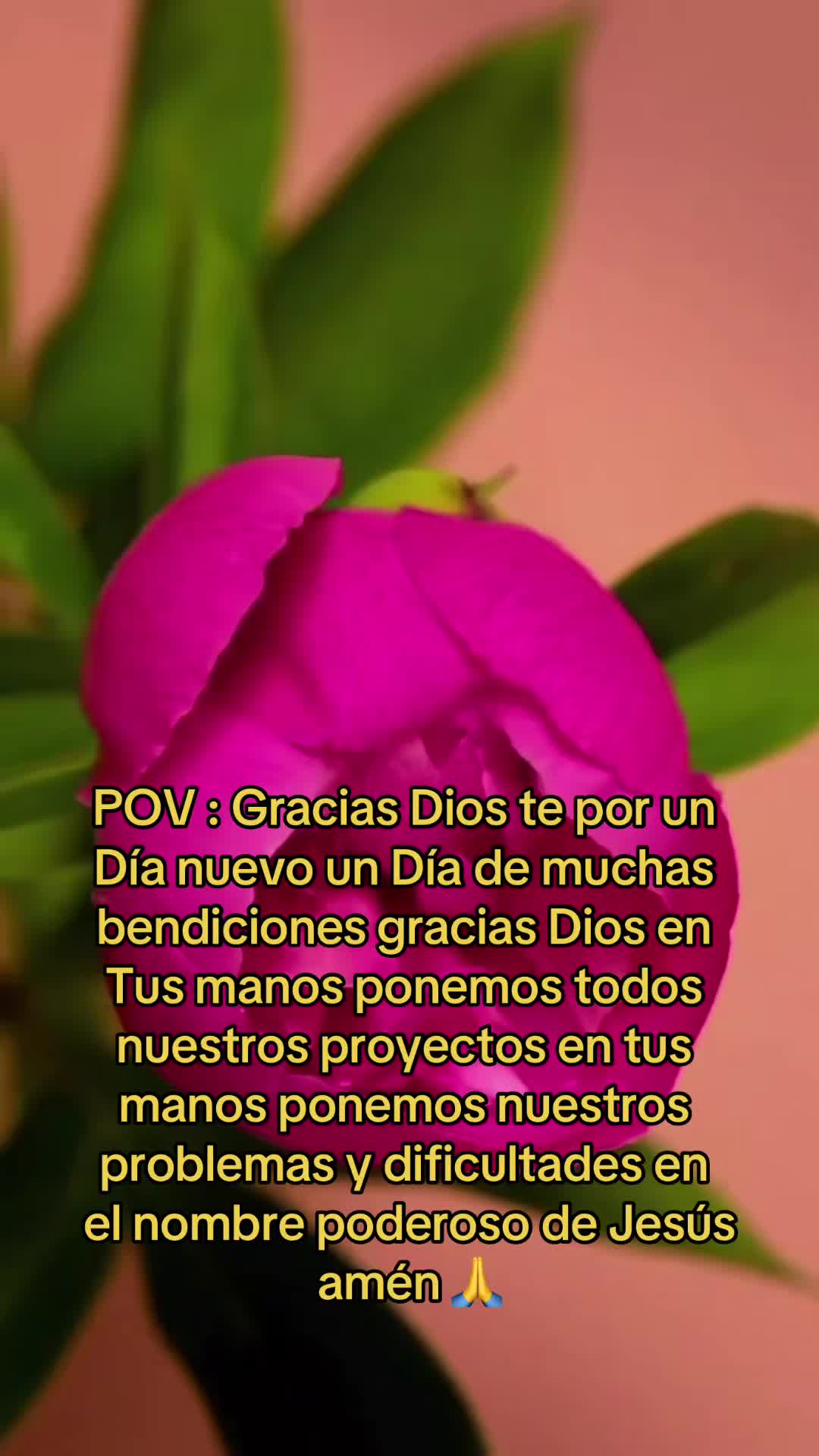 @Emelly1003