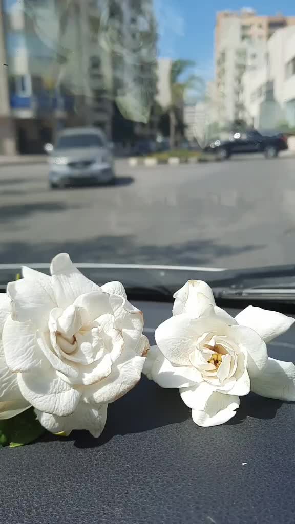 @𓂃♡ 𝓜𝓪𝓷𝓸 ♡𓂃