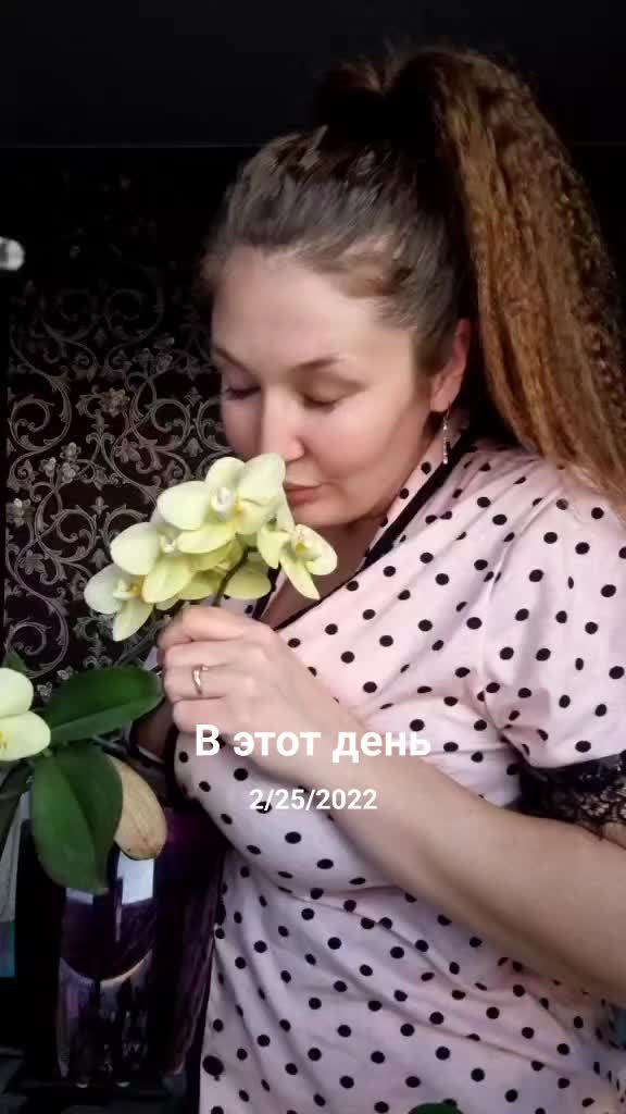 @⚜️🄴🄶🄾🄸🅂🅃🄺🄰⚜️