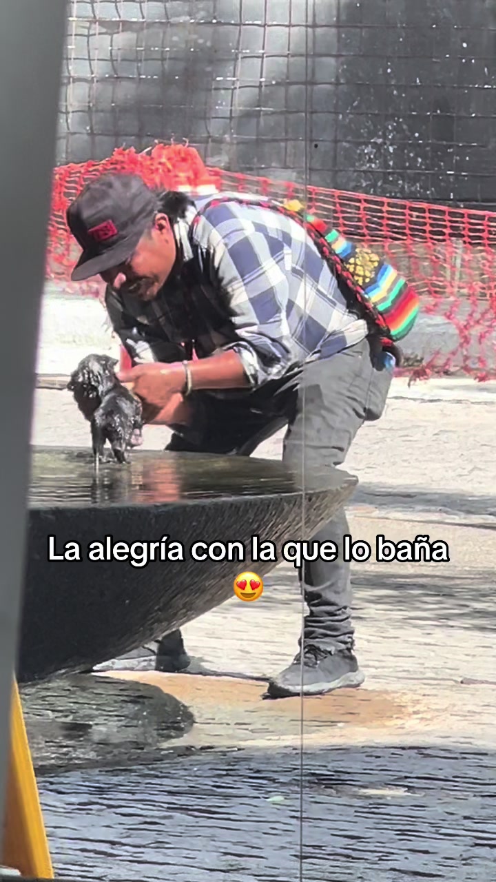 @Javier Urrutia