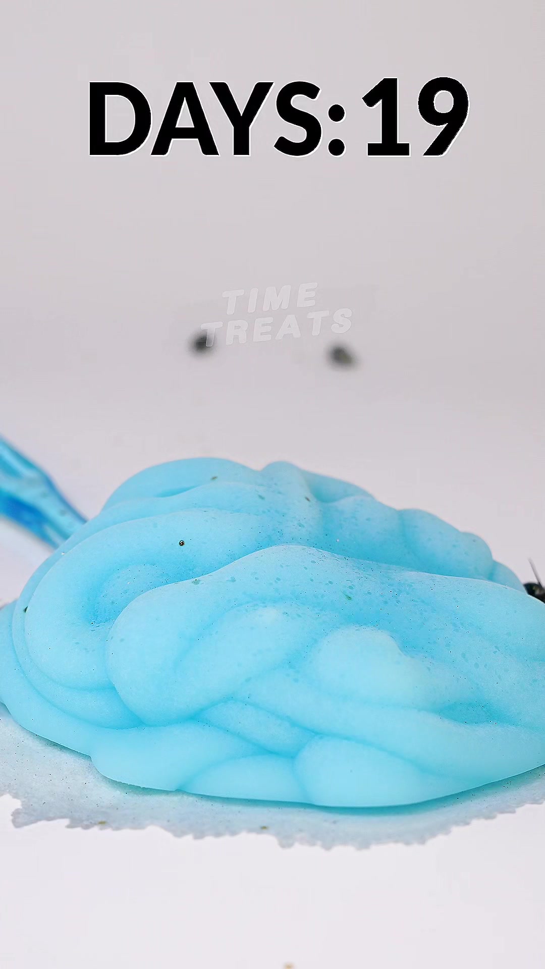 @Timetreats