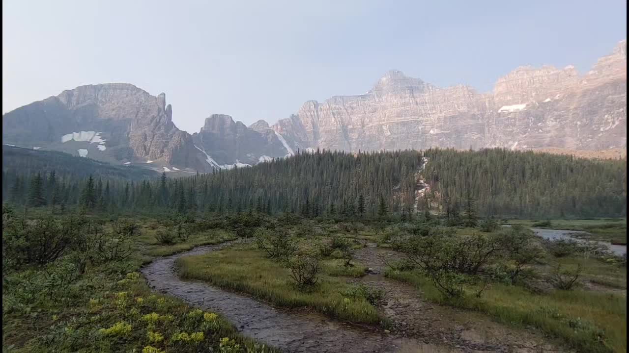 @The Banff local