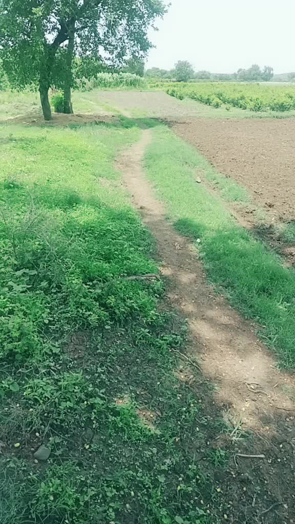 @Saurbh Akkmwad