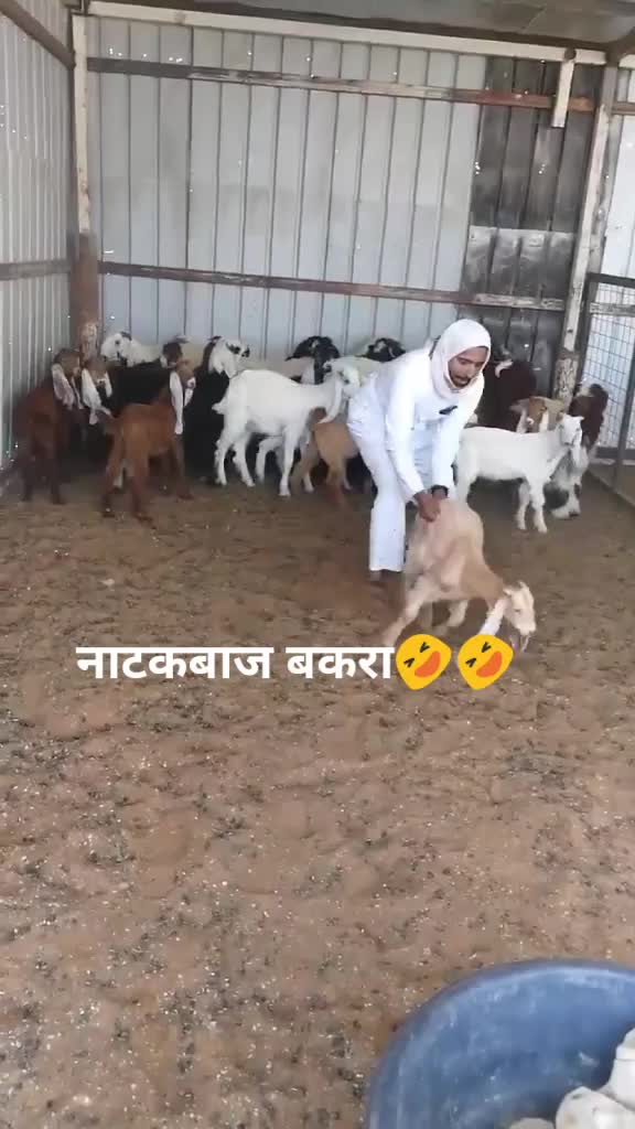 @Mufti habib yar khan