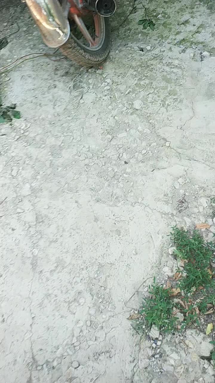@Юный альфавод🏍️