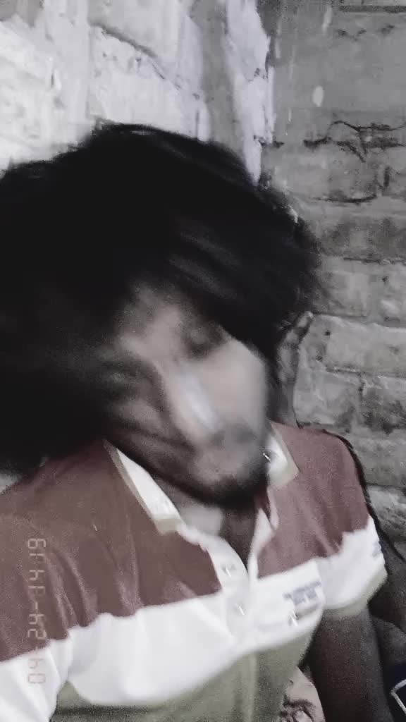@ShibLu🔥