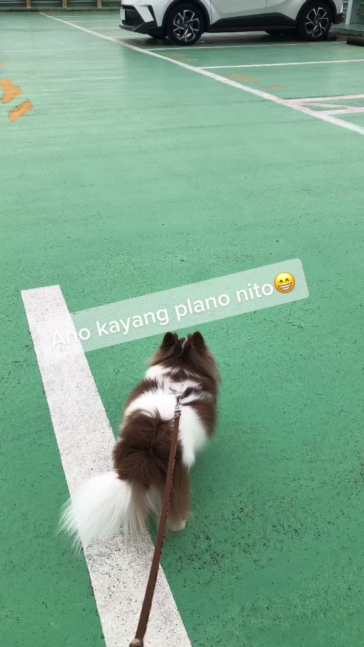 @MaO ไผ่ค๐ต๐ญ๐ฏ๐ต