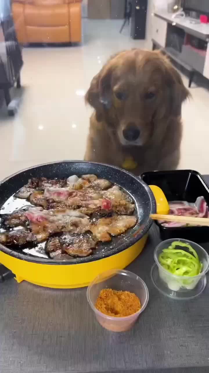 @Pets Kingdom Online