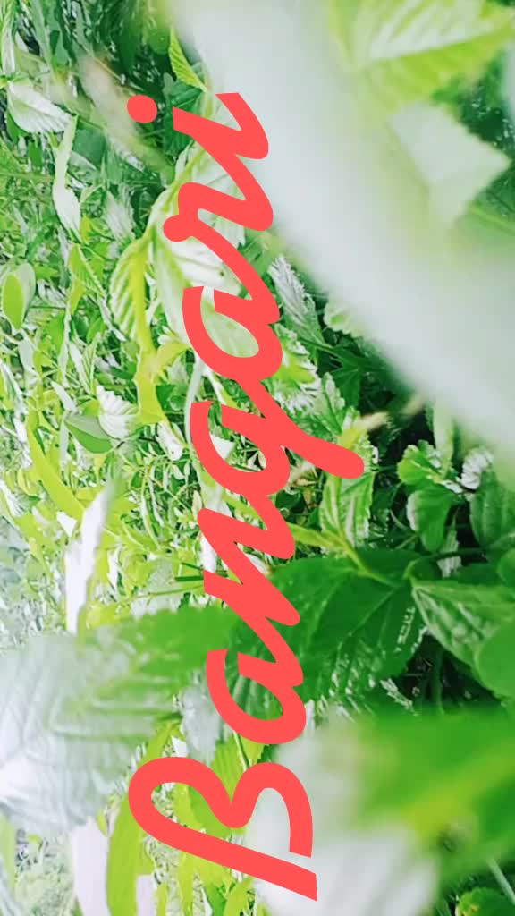 @Giri Vardhan