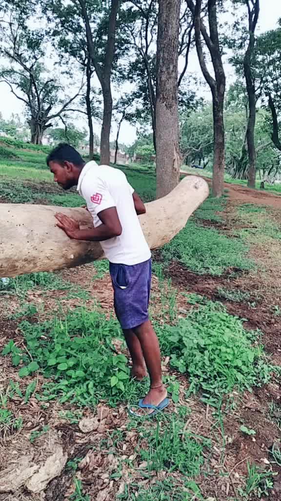 @user7855905725360