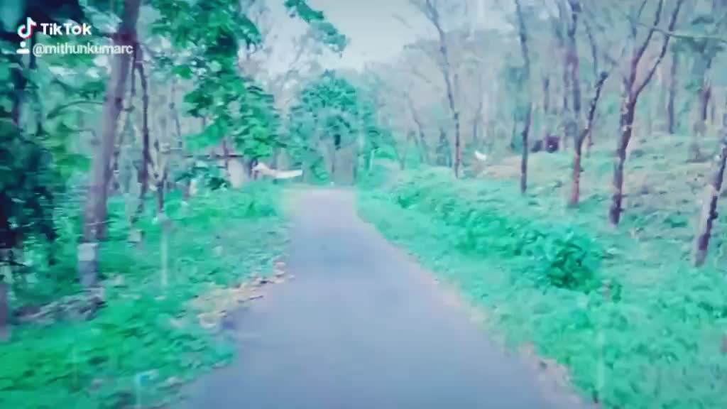 @MITHUN KUMAR C
