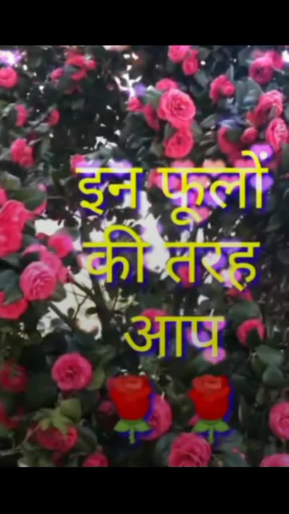 @Rajveer keshri