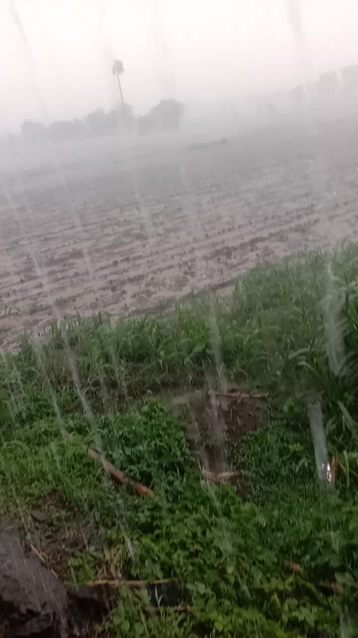 @राजेश जामगे3361वसमद