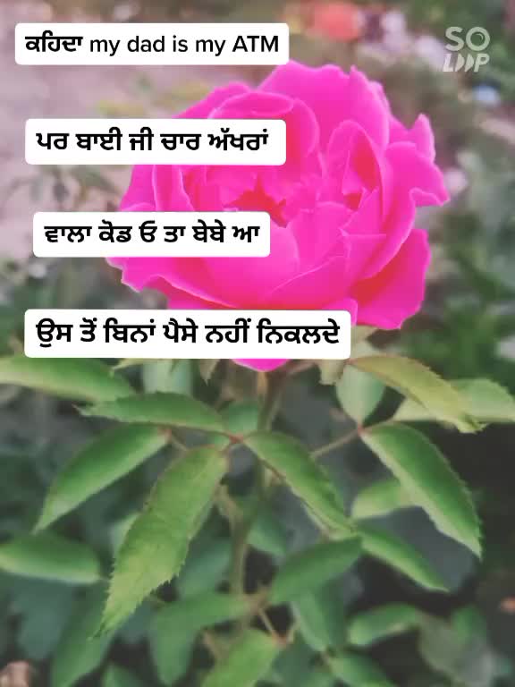 @official_sher_gill