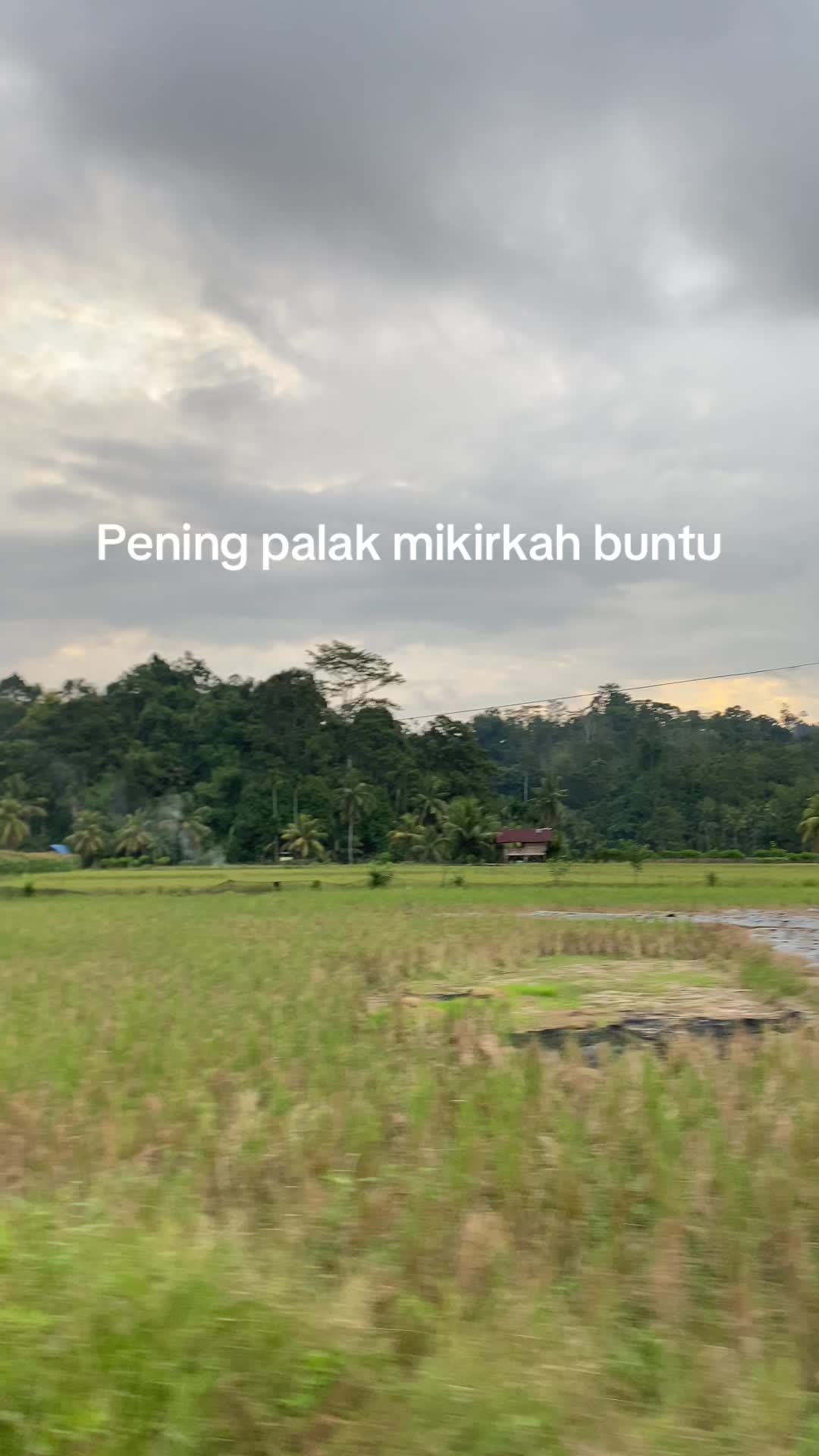 @Rndy