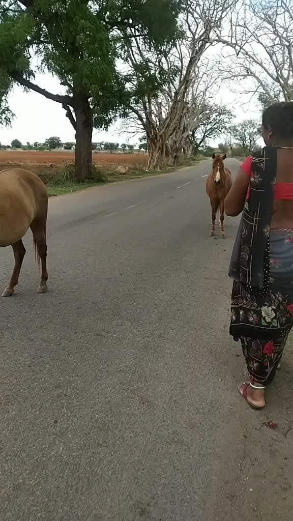 @vanaja