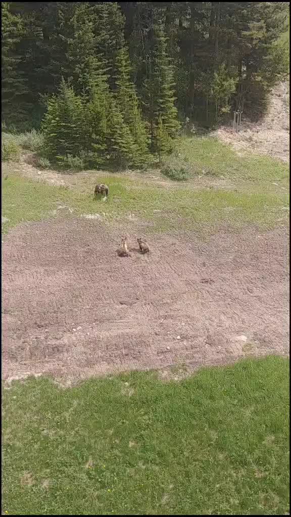@The Banff local