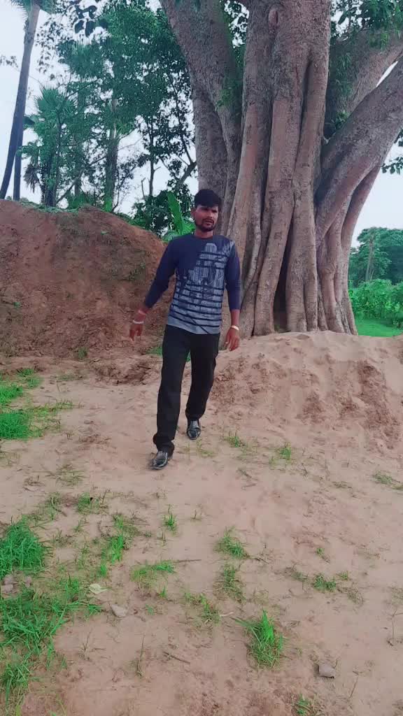@bhamara bar nayak