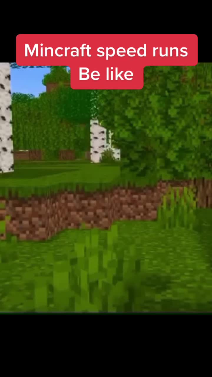 @mrtiger534