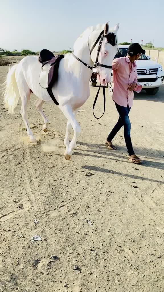 @Rahil Akhani