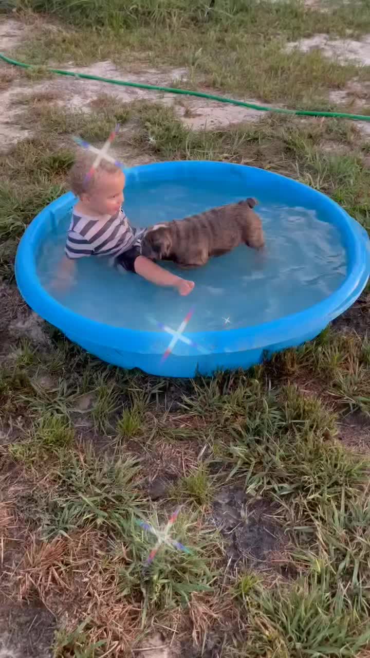 @Wickeddoghandler