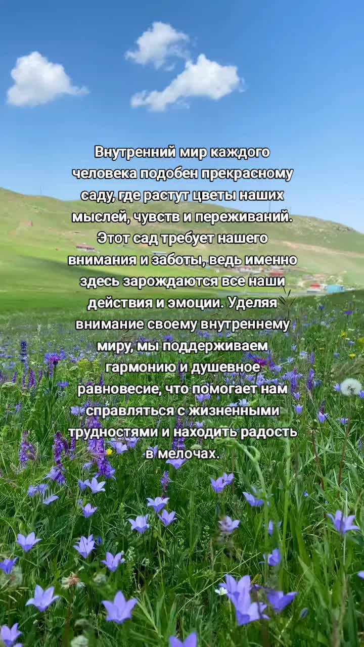 @🍀