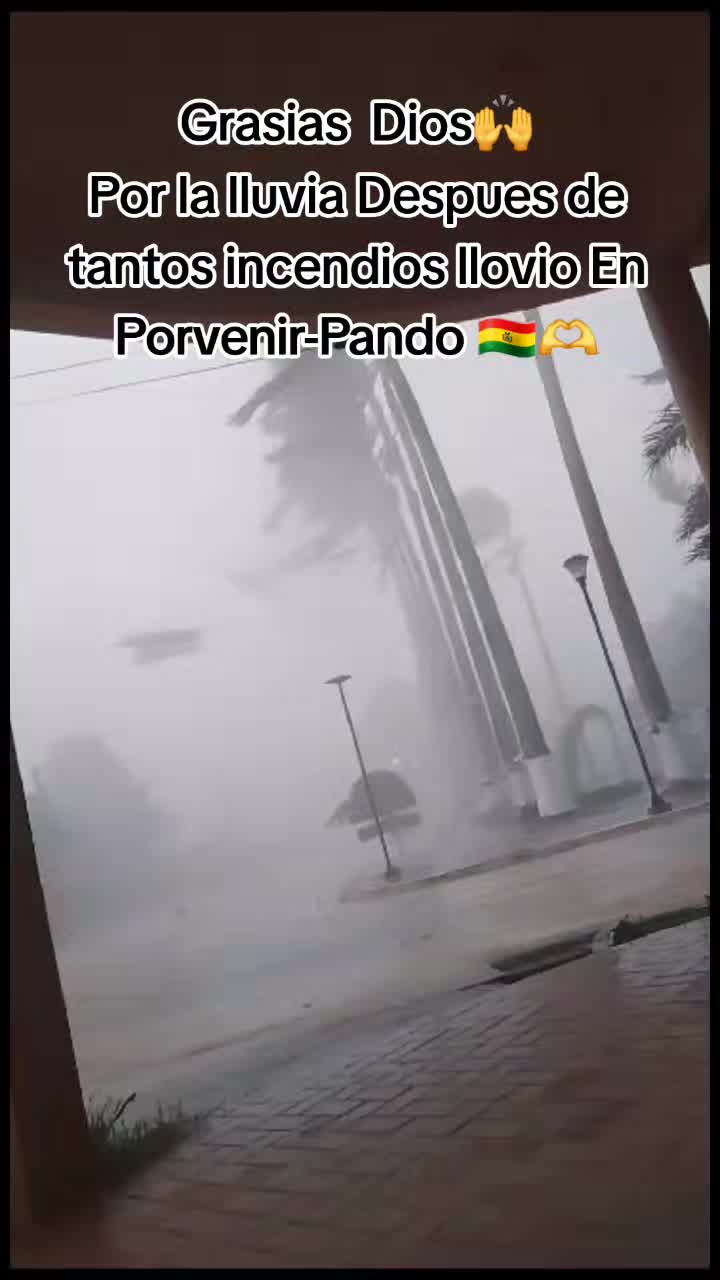 @Fernanda Álvarez🦋