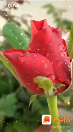 @💙💙💙💙मनिष 💙💙💙?