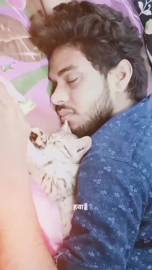 @shahbaazshaikh11_🤘