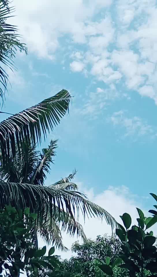 @Moumita Das