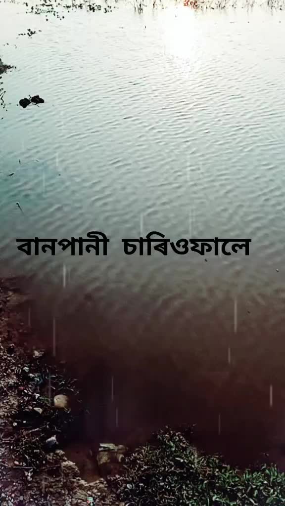 @Jyoti Deka