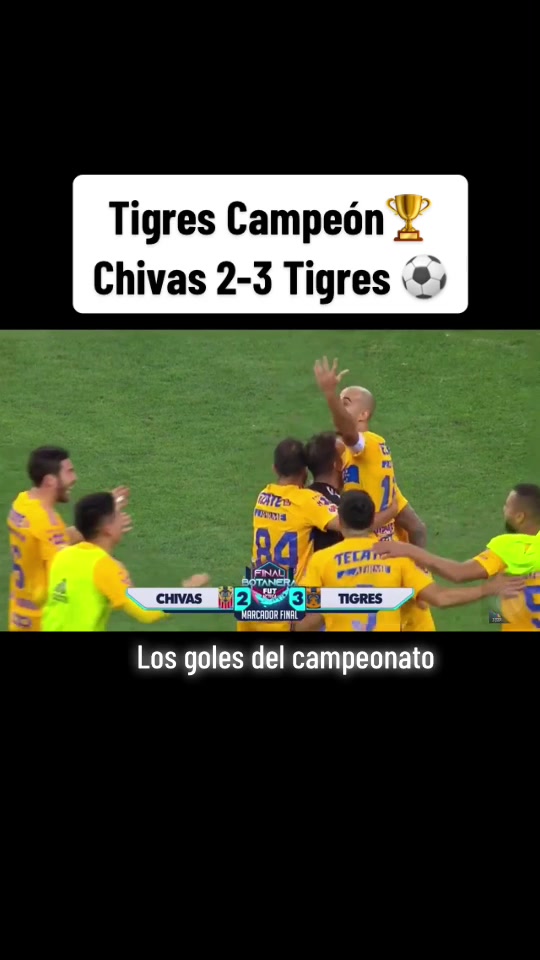 @AcaFan 📺