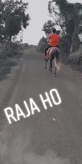 @mahavir shekhva 2