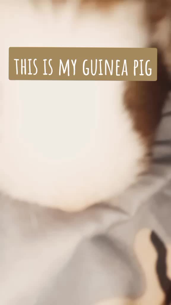 @piggy123