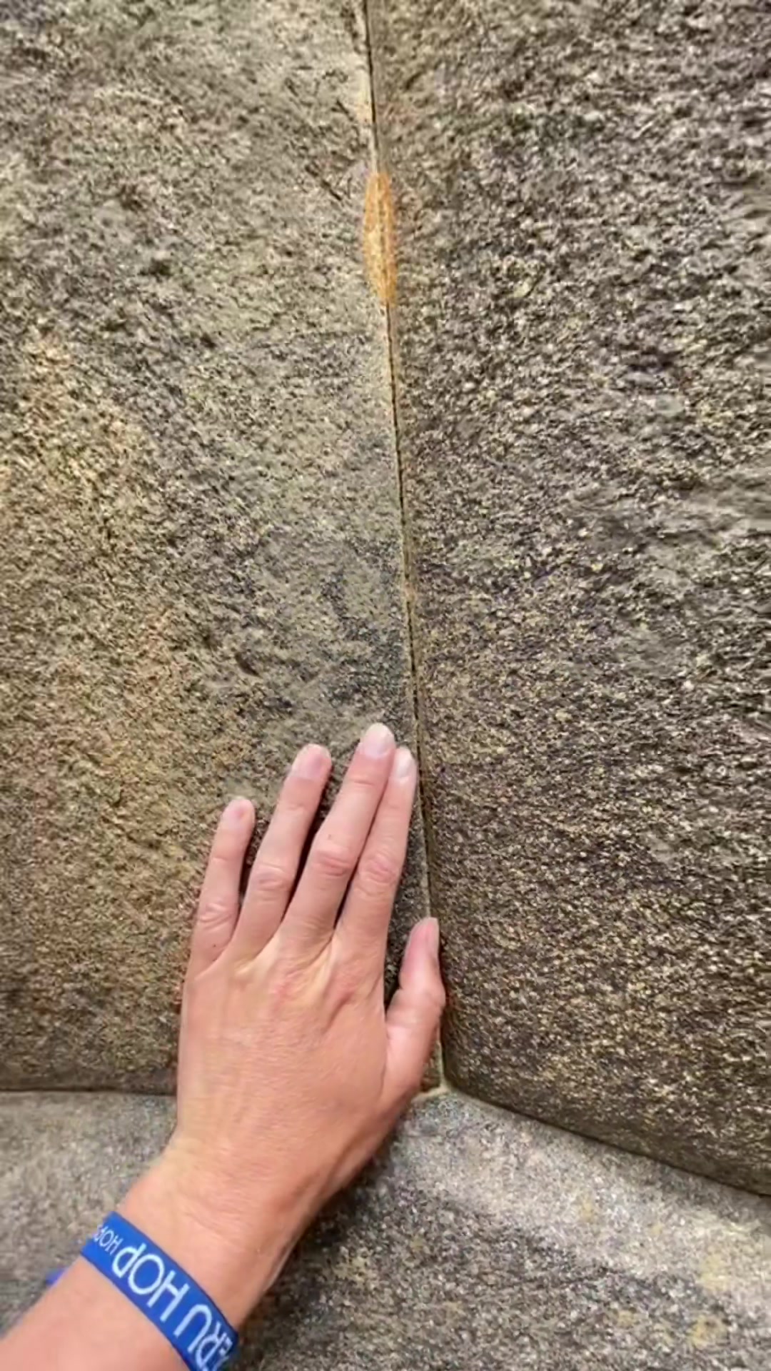 @Mr.mountainbeast