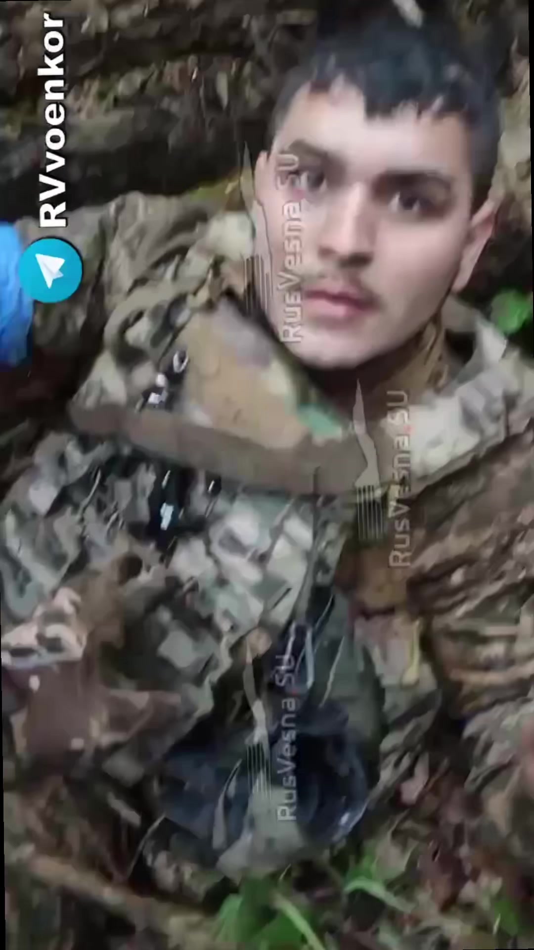 @flomgi 🇷🇺