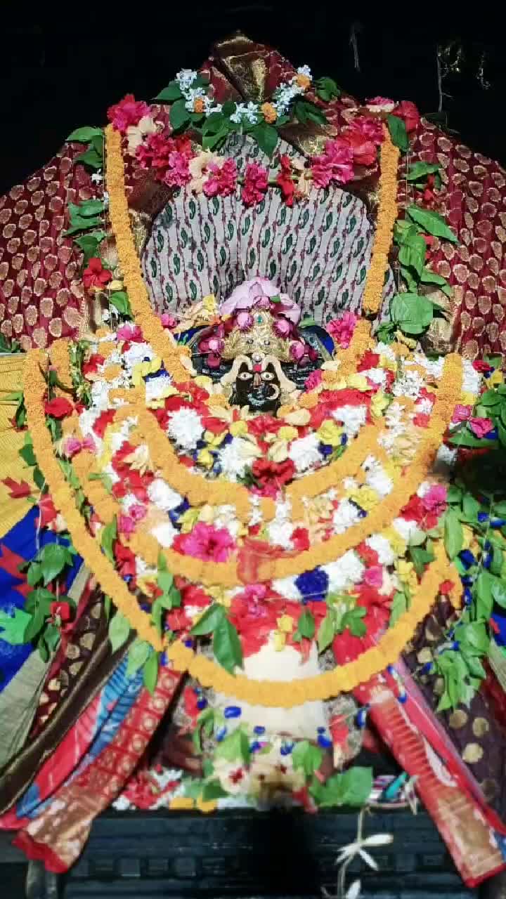 @monalishadaslucky
