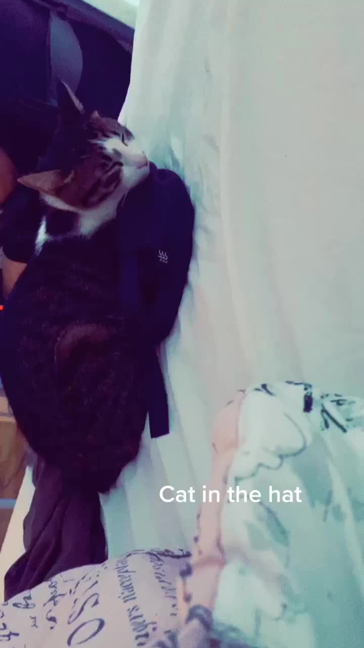 @Jennybear