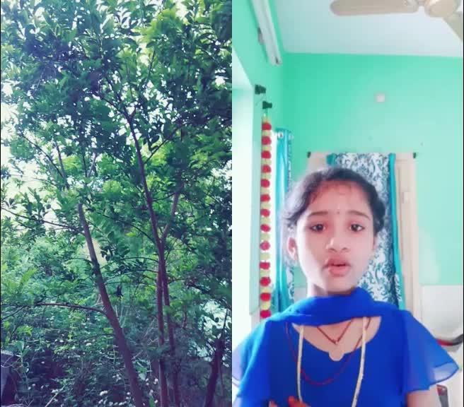 @Mounika Mahesh