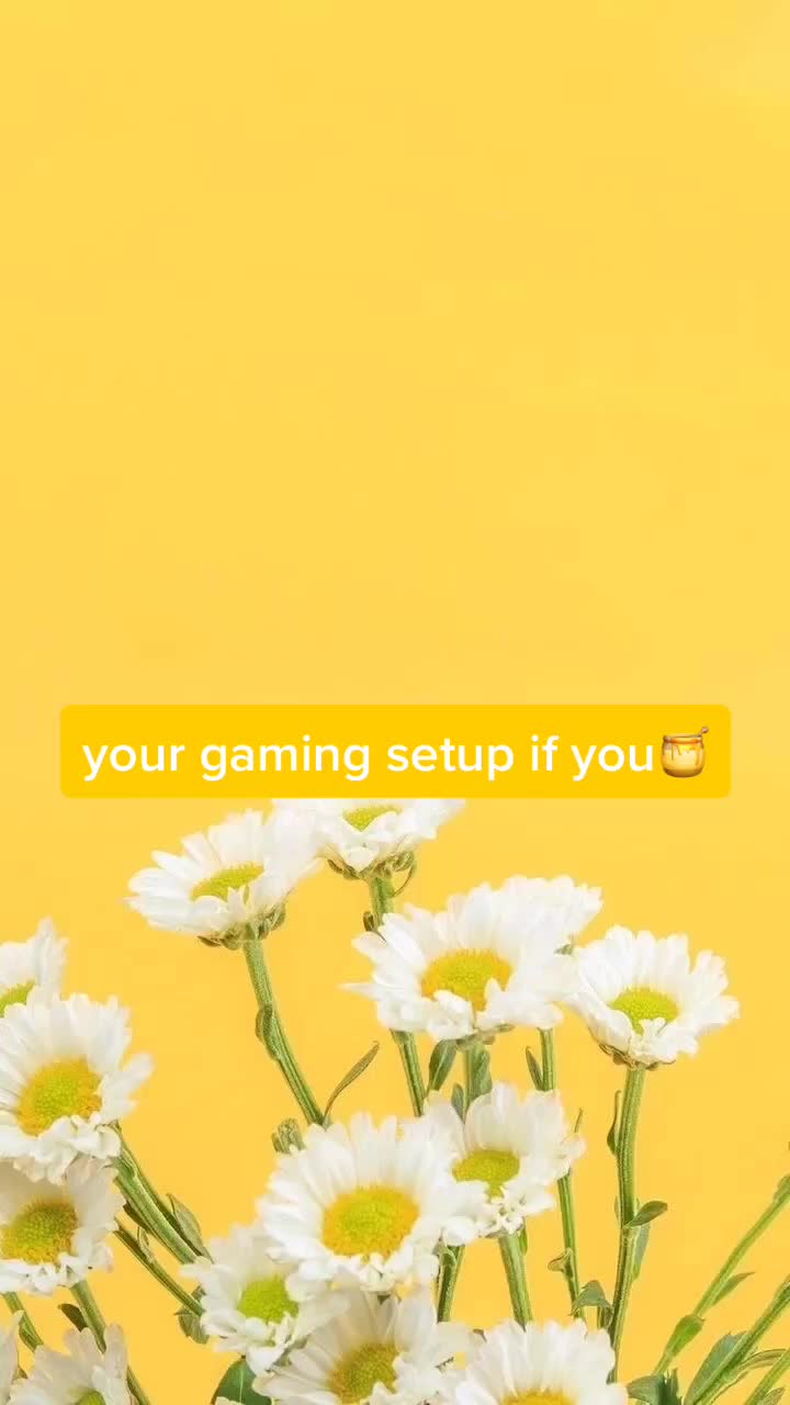 @a e a t h e t i c