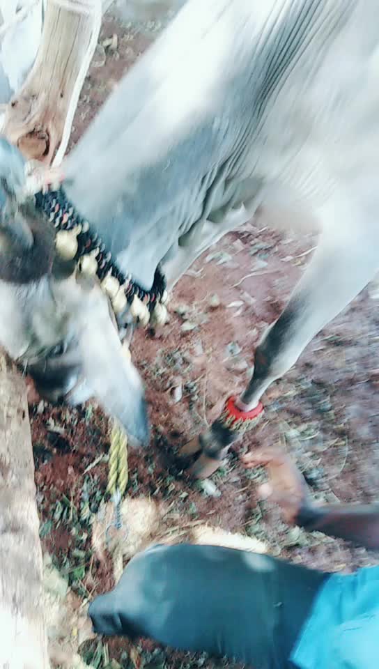 @ಗಾಂಚಲಿ ಹುಡ್ಗ
