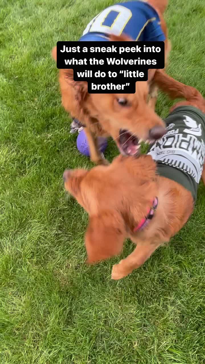 @Emmie & Maisie