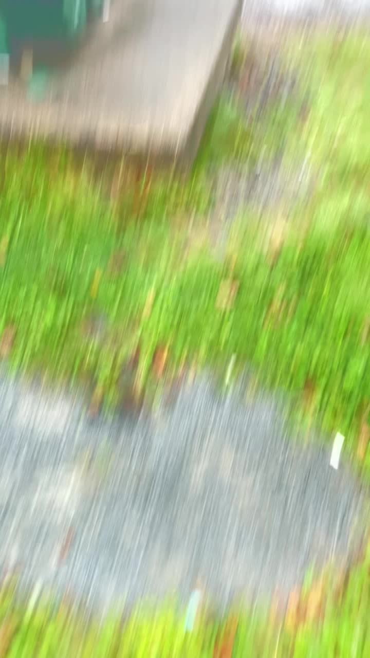 @HasanFzOfficial79