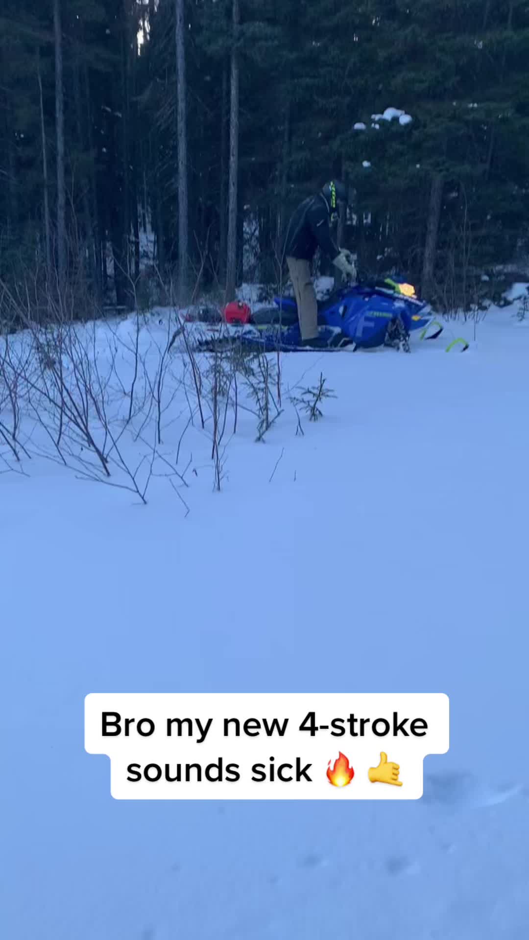 @mattwilliams789